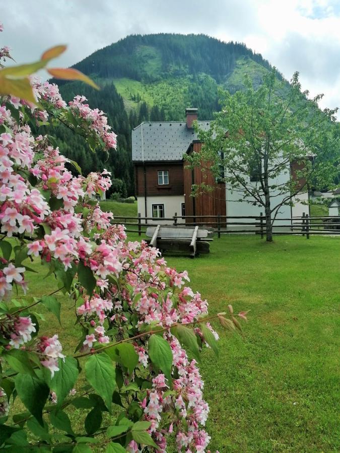 Sankt Nikolai im SölktalHimmlisch Urlauben St. Nikolai公寓 外观 照片